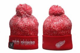 Picture of Nhl Beanies _SKUfw56045103fw